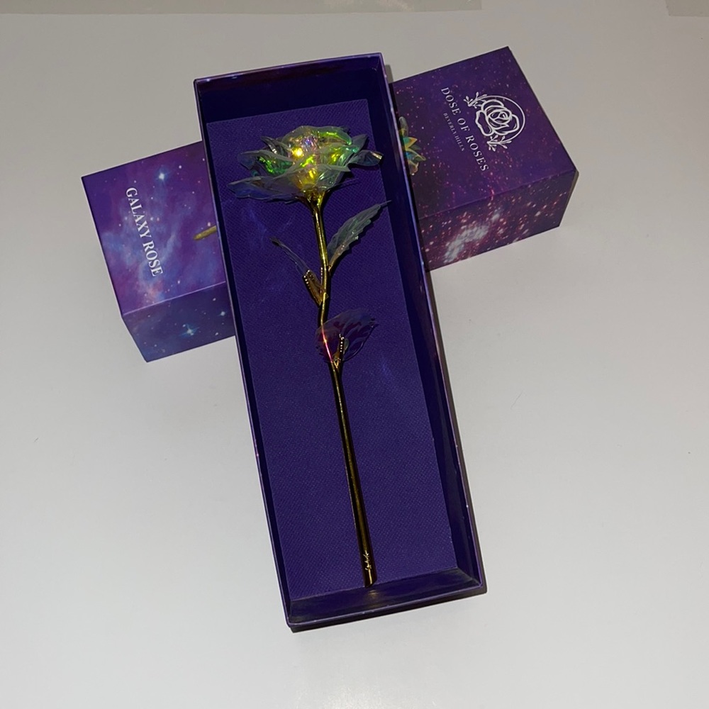 Dose of Roses Beverly Hills Galaxy Rose
